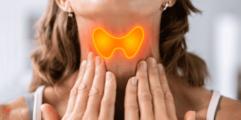 Natural Remedies for Thyroid Problems: A Comprehensive Guide