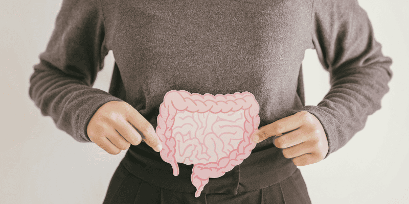 Top 18 Herbs for Gut Health