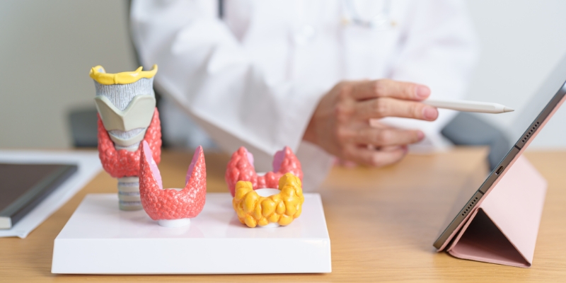 Hyperthyroidism vs Hypothyroidism – Understanding the Key Differences